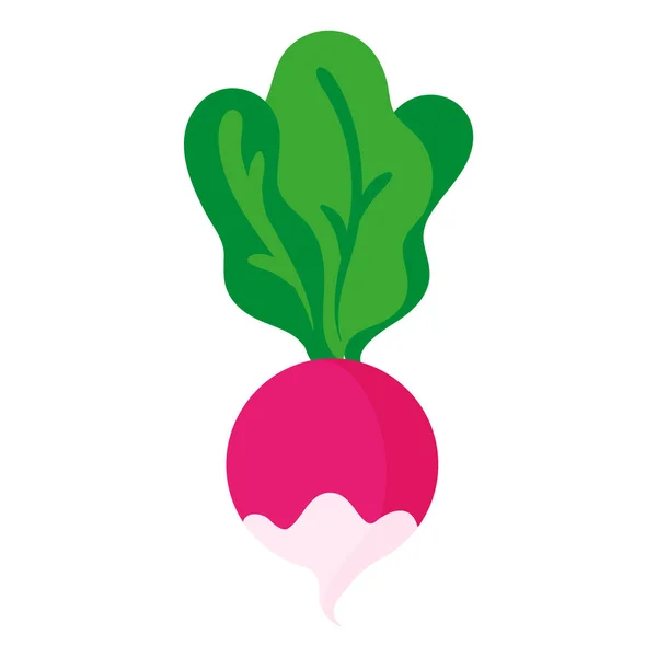 ベクトル漫画新鮮な大根の野菜 エコ食品のショッピング — ストックベクタ