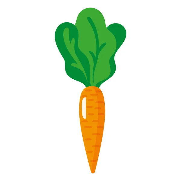 Вектор Мультфільм Свіжий Морквяний Овоч Купівля Екологічної Їжі — стоковий вектор