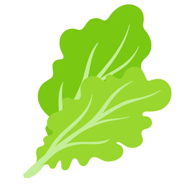 Vector Dibujos Animados Verduras Ensalada Verde Fresco Compras Comida Ecológica — Vector de stock