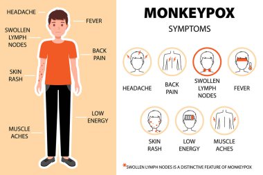 Monkeypox virus symptoms infographic with man. Headache, back, pain, swollen lymph nodes, fever, skin, rash etc. New outbreak cases in Europe and USA. Vector cartoon isolated illustration.