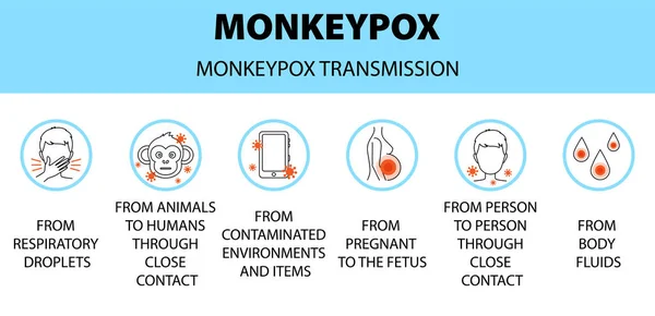 Monkeypox virus transmission icons infographic. New outbreak cases in Europe and USA. Vector cartoon isolated illustration.