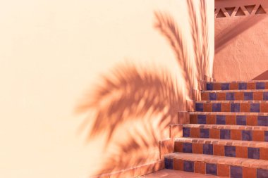 Bir terasotta duvarındaki palmiye dallarının gölgeleri ve seramik kiremitlerle kaplı merdivenler.