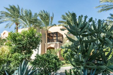 Tropik bir bahçenin ortasında, üzerinde kemerler olan kahverengi ahşap bir balkon.