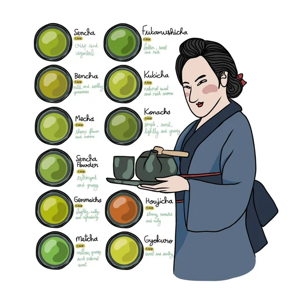 Types Japanese Tea Info Graphic Vector Illustration — Stock Vector
