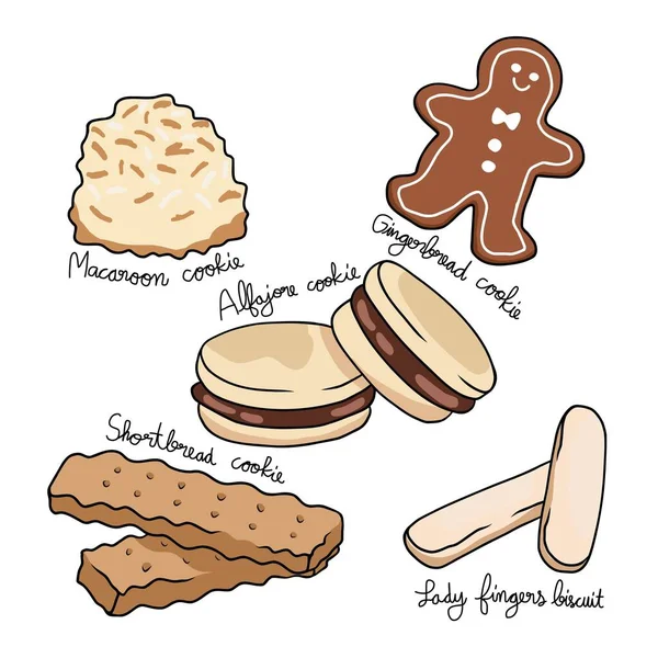 Geneze Vektorové Ilustrace Cookies — Stockový vektor