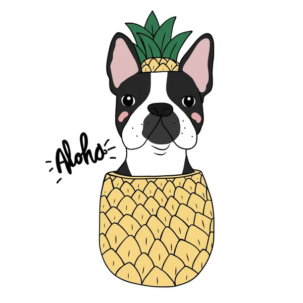 Boston Terrier Dog Pineapple Cartoon Vector Illustration — Vetor de Stock