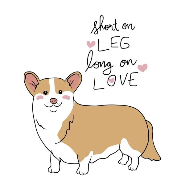 Corgi Hond Kort Been Lang Liefde Cartoon Vector Illustratie — Stockvector