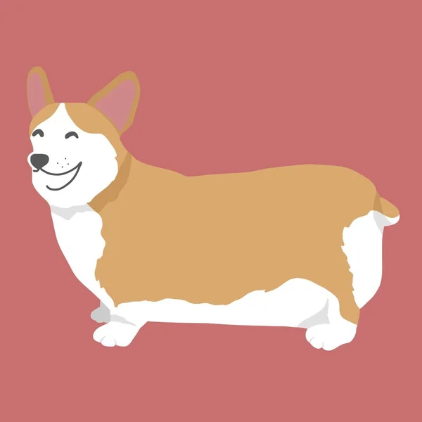 Corgi Cão Retrato Desenho Animado Vetor Ilustração — Vetor de Stock