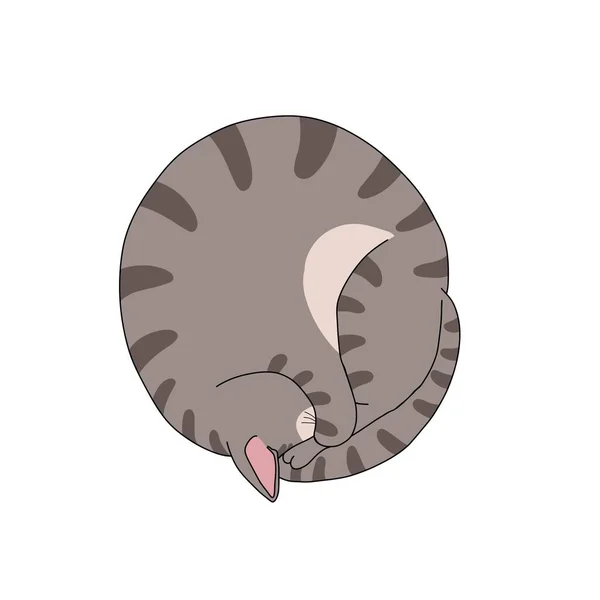 Cat Adormecido Rolo Pose Cartoon Vetor Ilustração —  Vetores de Stock