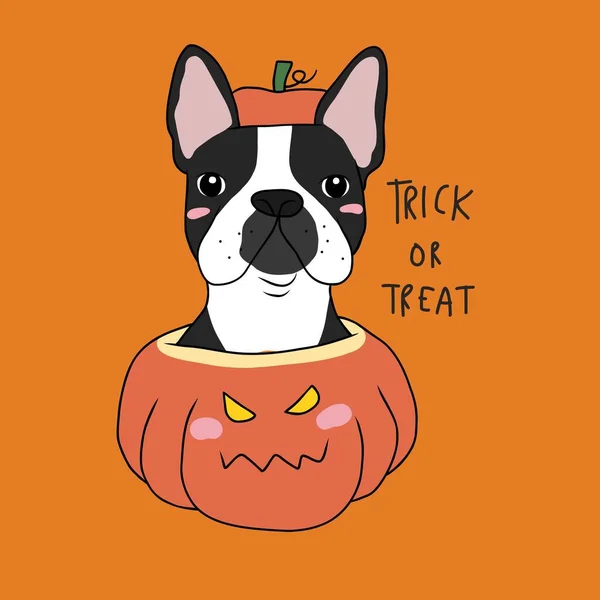 Boston Terrier Hund Kürbis Halloween Kostüm Trick Treat Cartoon Vektor — Stockvektor