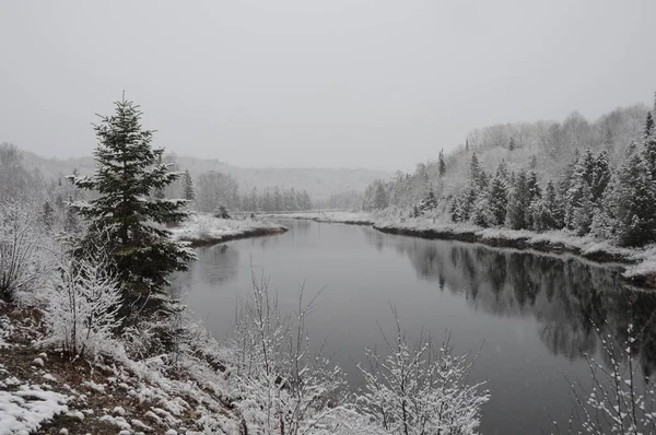 Winter scenery displaying its white blanket on trees, river and with a grey sky with a tranquillity feeling of peace. Horizontal Photo.