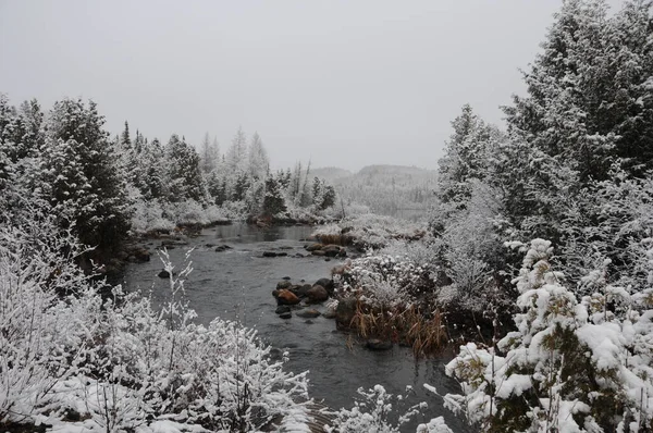 Winterlandschap Met Zijn Witte Deken Bomen Rivier Met Een Grijze — Stockfoto