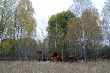 Çernobil. Yasak bölge bugün.