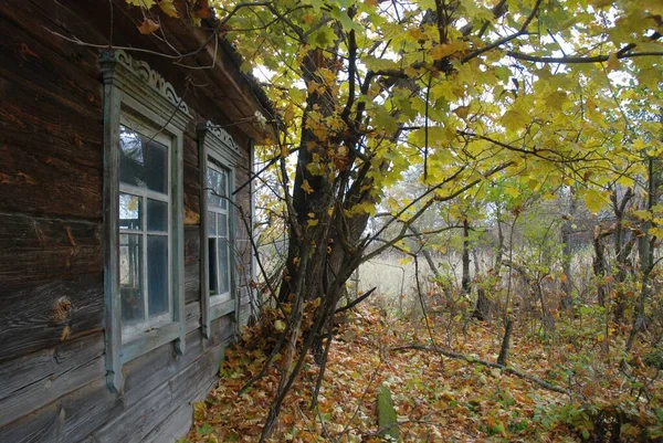 Çernobil. Yasak bölge bugün.