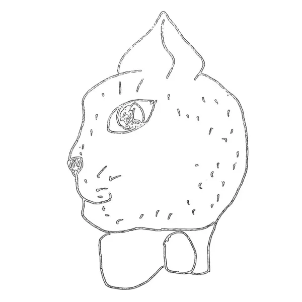 Cat Head Profile View Vector Coloring Page Hand Drawn Ink — Vetor de Stock