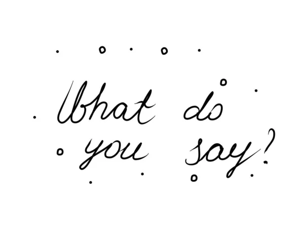 What You Say Phrase Handwritten Modern Calligraphy Text Isolated Word — Stockvektor