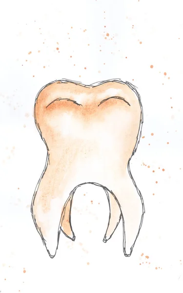 Ząb Stomatologia Akwarela Dekoracja Szkic Ilustracja Ręcznie Rysowane Nowoczesne Nowe — Zdjęcie stockowe