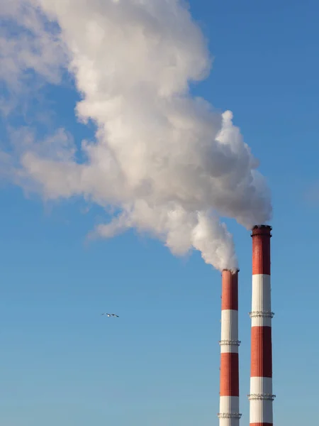 Elektrik santralinin iki bacasından yükselen yoğun beyaz duman bulutları sabah mavi gökyüzüne karşı yükseliyor ve bu bacaların yakınında bir kuş uçuyor.