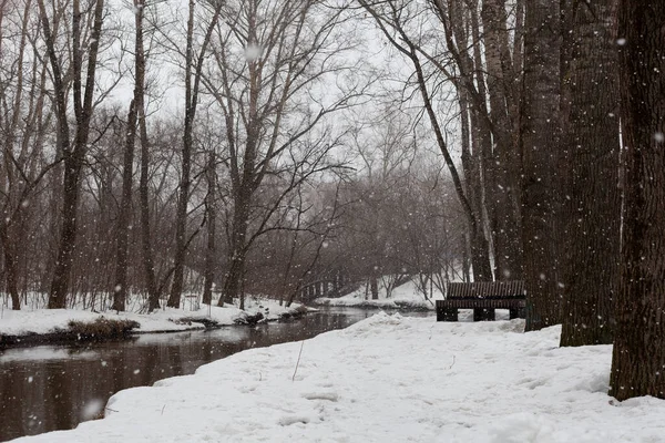 Yapayalnız bank ve kar altında bir sıra ağaç kış parkındaki nehir kıyısında, manzara, kapat