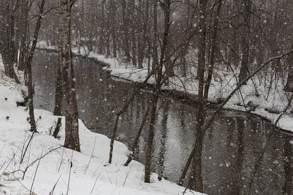Çerçevede köşegen olarak yer alan nehir kıyılarında yetişen ağaçlar arasında akan ve ormanda akan nehir, yakınlaşır.