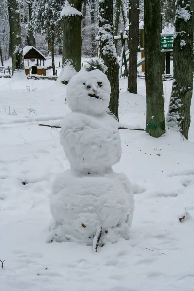 Schneemann Mit Seltsamem Gesicht Einem Waldcamp — Stockfoto