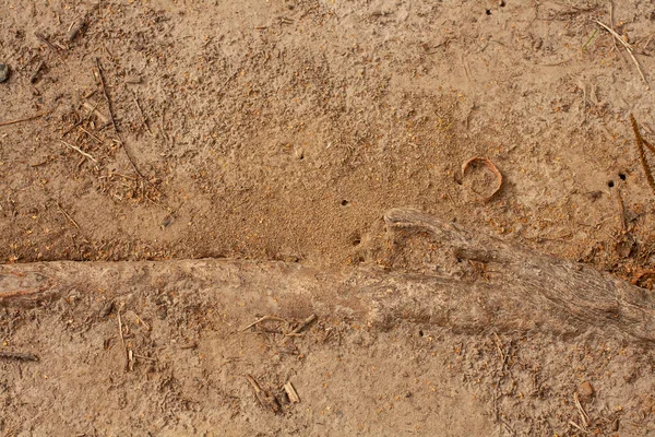 Texture of soil with sand