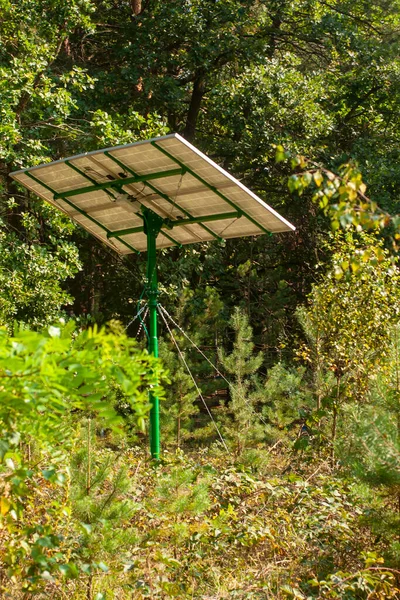 Solar panel in the forest from the back