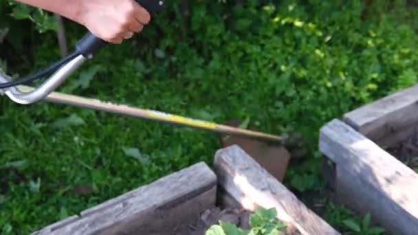 Le jardinier fauche l'herbe avec une tondeuse à gazon.Concept d'agriculture. — Video