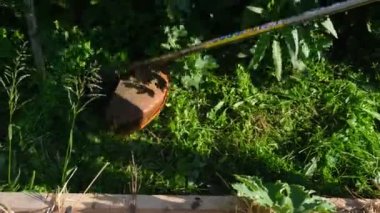 Bahçıvan çim biçme makinesiyle çimleri biçiyor. Tarım kavramı.