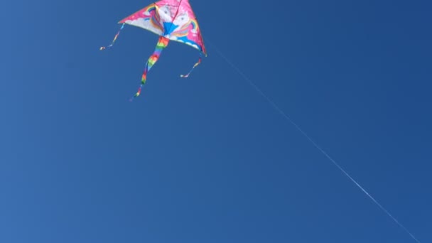 Uma Pipa Multicolorida Voa Contra Céu Azul Imagens Alta Qualidade — Vídeo de Stock