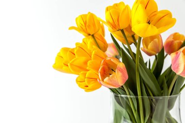 Beyaz arka planda cam bir vazoda büyük sarı lale buketi. Davetiyeniz için zarif bir kompozisyon, tebrikler..