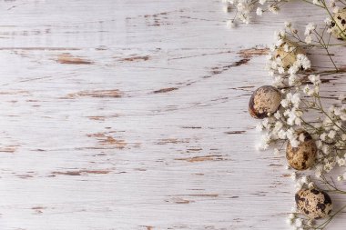 Paskalya resmi, bıldırcın yumurtaları ve hafif ahşap arka planda küçük çiçekler. Paskalya 'nın asgari konsepti. Yazı için yeri olan bir Paskalya kartı..