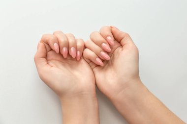 Beyaz arka planda taze manikürlü kadın elleri. Güzel pastel renkler. Güzel tırnaklar.