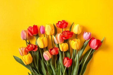 Sarı arka planda renkli lalelerden oluşan bir buket. Davetiyeniz için hazır bir yer, tebrikler..