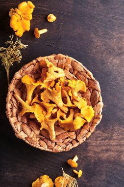 Orman mantarları ve orman yosunları eski ahşap bir arka planda. Kahverengi desenli arka planda rafadan tabakta pişmemiş çiğ. Model yap. Üst görünüm.