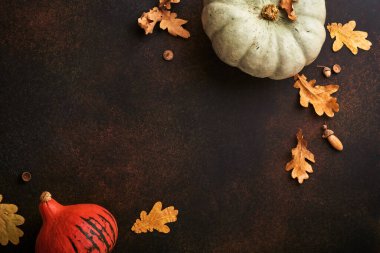 Balkabağım. Tarçınlı güz yemekleri, fındık ve kaslı kırsal arka planda mevsimlik baharatlar. Şükran Günü ve sonbahar tatilleri için balkabağı, elmalı turta ve kurabiye pişiriyorum. Üst görünüm kopyalama alanı.