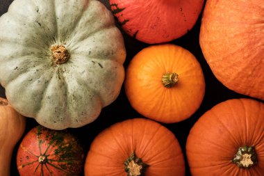 Balkabağım. Tarçınlı güz yemekleri, fındık ve kaslı kırsal arka planda mevsimlik baharatlar. Şükran Günü ve sonbahar tatilleri için balkabağı, elmalı turta ve kurabiye pişiriyorum. Üst görünüm kopyalama alanı.