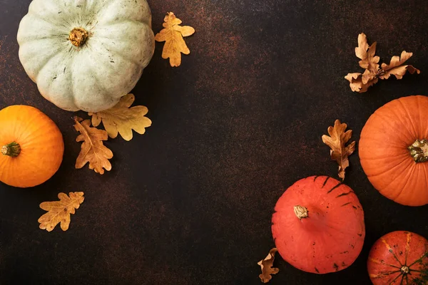 Balkabağım. Tarçınlı güz yemekleri, fındık ve kaslı kırsal arka planda mevsimlik baharatlar. Şükran Günü ve sonbahar tatilleri için balkabağı, elmalı turta ve kurabiye pişiriyorum. Üst görünüm kopyalama alanı.