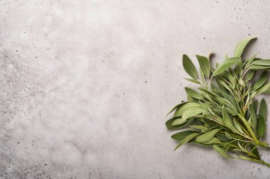 Adaçayı. Bir demet taze yeşil yaprak. Bitki çayı soyut doku arkaplanı. Doğa kavramları. Yumuşak ve seçici odaklanma. Doku. Model yap. Kopyalama alanı olan üst görünüm.