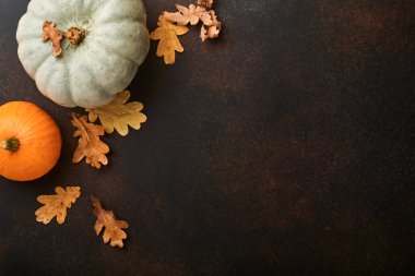 Balkabağım. Tarçınlı güz yemekleri, fındık ve kaslı kırsal arka planda mevsimlik baharatlar. Şükran Günü ve sonbahar tatilleri için balkabağı, elmalı turta ve kurabiye pişiriyorum. Üst görünüm kopyalama alanı.