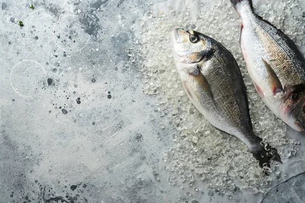 Raw dorado fresh fish or sea bream with ingredients for making lemon, thyme, garlic, cherry tomato and salt on light grey slate, stone or concrete background. Top view with copy space.