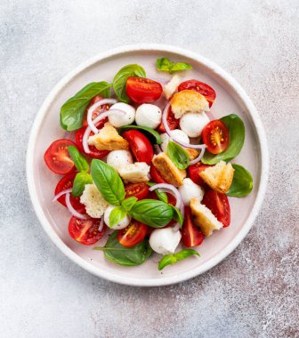 Kiraz domates, mozzarella peyniri, fesleğen ve seramik tabakta ekmek ile geleneksel İtalyan salatası Panzanella. Üstte görüntü.