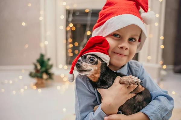 Niño Pequeño Sombrero Año Nuevo Sostiene Perro Con Enano Pinscher — Foto de Stock