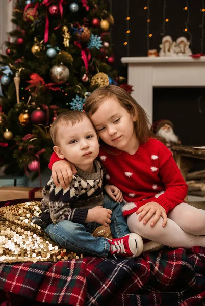 かわいい弟と妹が部屋のクリスマスツリーの近くに座っていて抱きかかえている — ストック写真