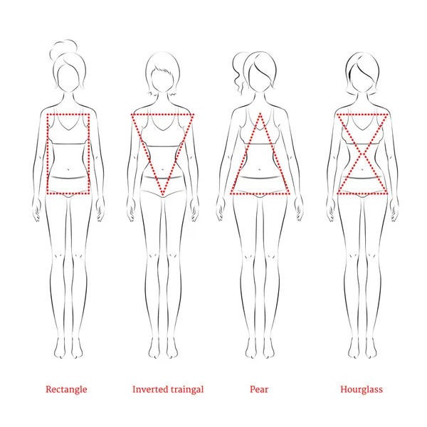 Female body type Stock Vectors, Royalty Free Female body type Illustrations Depositphotos®