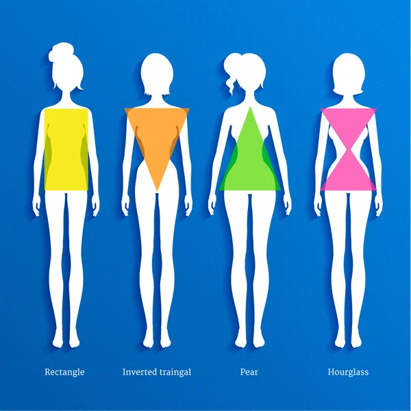 Women body types, Royalty-free Women body types Vector Images ...