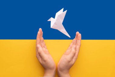 Ukrayna barış kavramı için dua et. Eller dua ediyor ve kağıt origamiden yapılmış güvercin kuşu mavi sarı arka planda.
