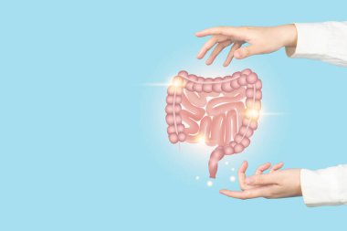 Healthy intestine anatomy on doctor hands. Concept of healthy bowel digestion, colon cancer screening, intestinal disease treatment or colorectal cancer awareness. clipart