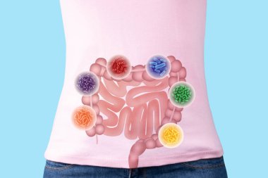 Probiotics health benefits. Intestine of woman with good bacteria set lactobacillus, lactococcus, propionibacterium, bifidobacterium, streptococcus thermophilus, bulgaricus. Healthy digestive systems.