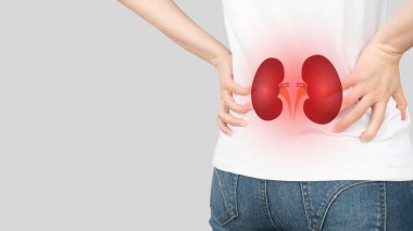 Bel ağrısı ve böbrek anatomisi olan bir kadın. Yan ağrılar arasında idrar yolu enfeksiyonu, böbrek enfeksiyonu, böbrek taşı, yaralanma ya da böbrek kanseri yer alıyor. Nefroloji kavramı.